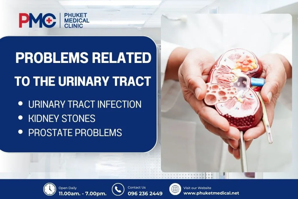 Diagnose and treat urinary tract system