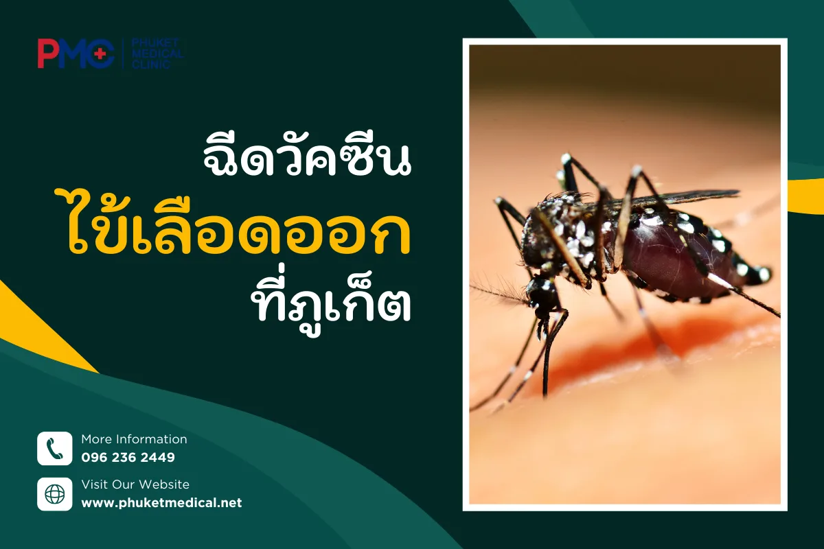 ฉีดวัคซีนไข้เลือดออก ที่ภูเก็ต