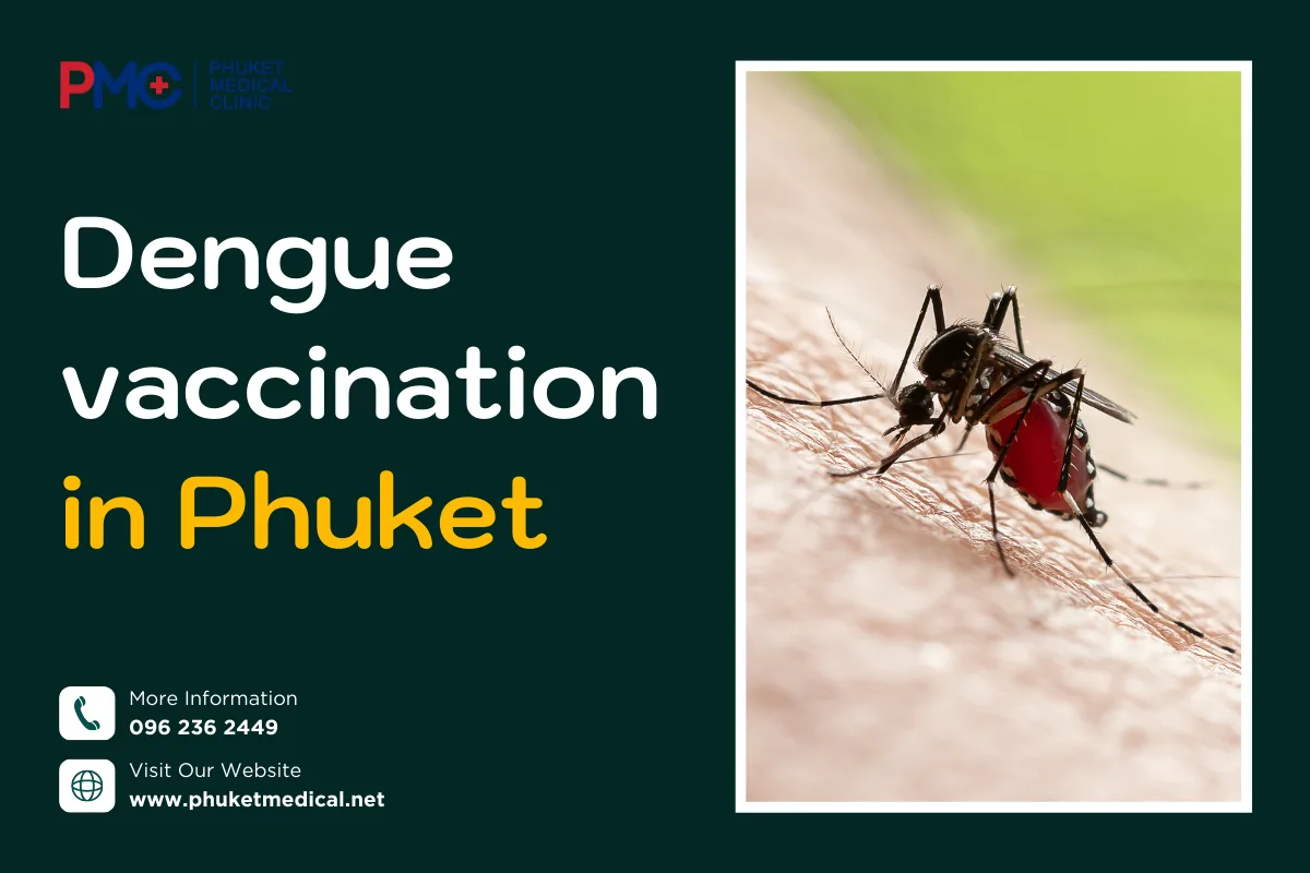 Dengue vaccination in Phuket
