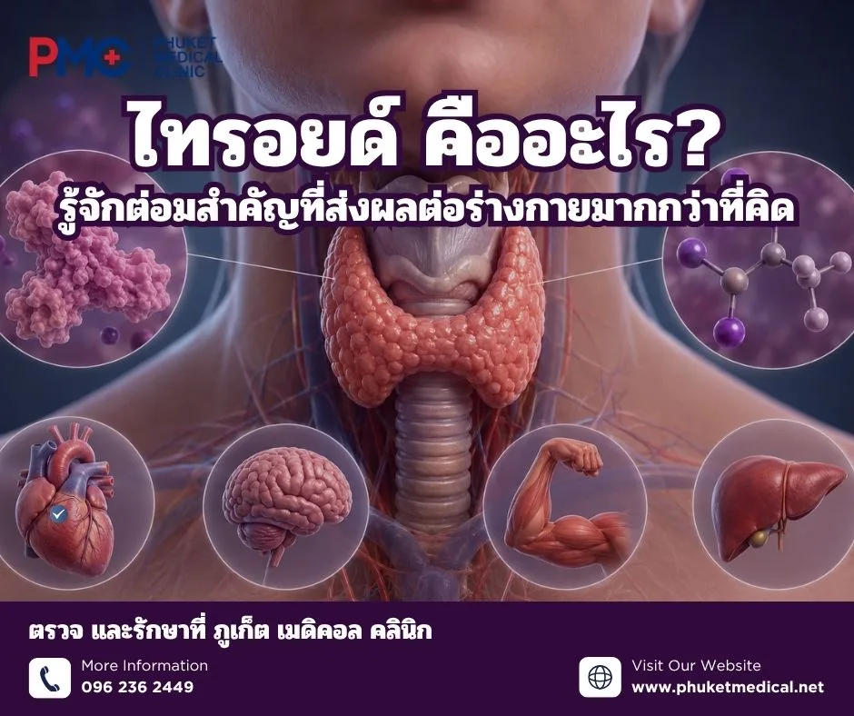 ไทรอยด์ คืออะไร? รู้จักต่อมสำคัญที่ส่งผลต่อร่างกายมากกว่าที่คิด