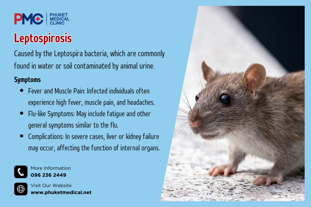 Leptospirosis