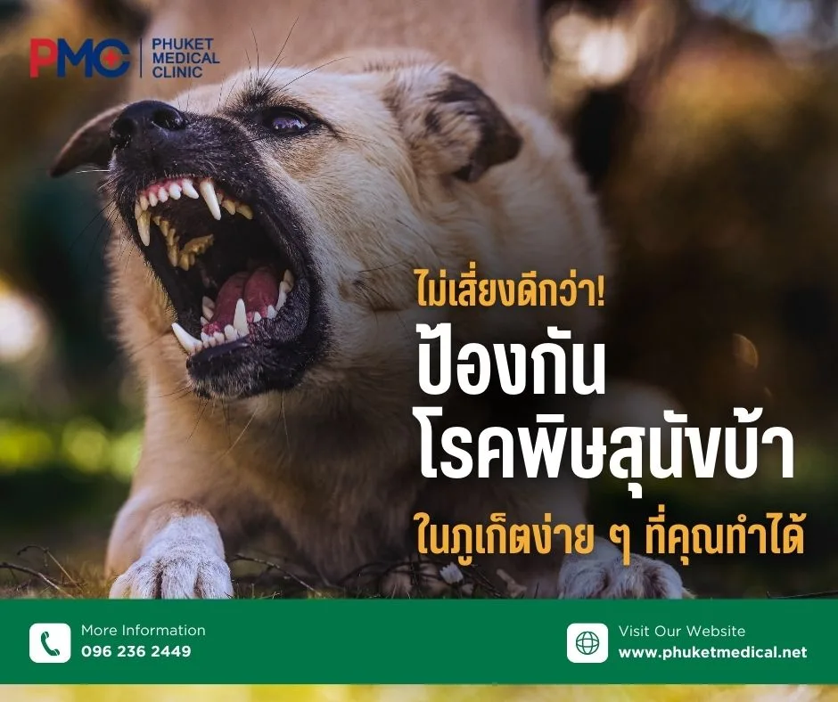 ไม่เสี่ยงดีกว่า! ป้องกันโรคพิษสุนัขบ้าในภูเก็ตง่าย ๆ ที่คุณทำได้