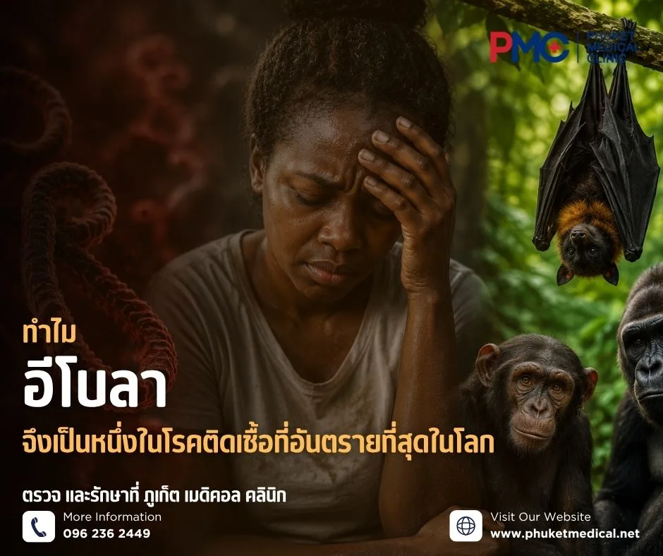 ทำไมอีโบลาจึงเป็นหนึ่งในโรคติดเชื้อที่อันตรายที่สุดในโลก