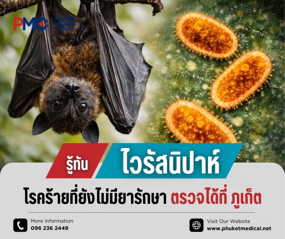 รู้ทันไวรัสนิปาห์ โรคร้ายที่ยังไม่มียารักษา ตรวจได้ที่ ภูเก็ต