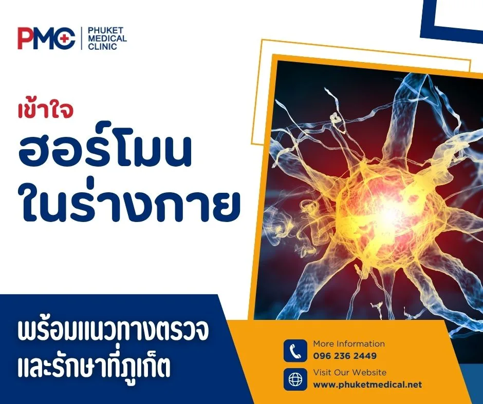 เข้าใจฮอร์โมนในร่างกาย พร้อมแนวทางตรวจ และรักษาที่ภูเก็ต